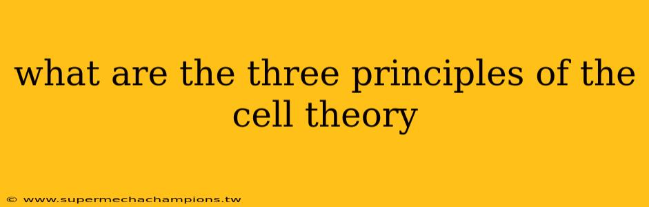 what are the three principles of the cell theory