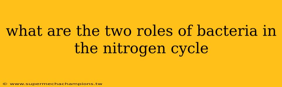 what are the two roles of bacteria in the nitrogen cycle