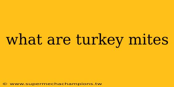 what are turkey mites