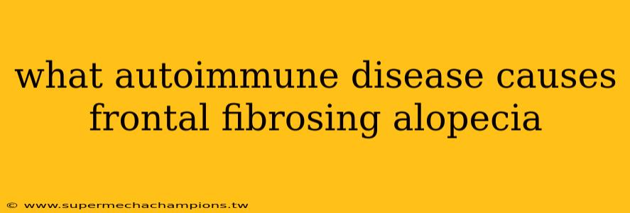 what autoimmune disease causes frontal fibrosing alopecia