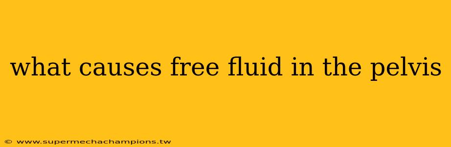 what causes free fluid in the pelvis