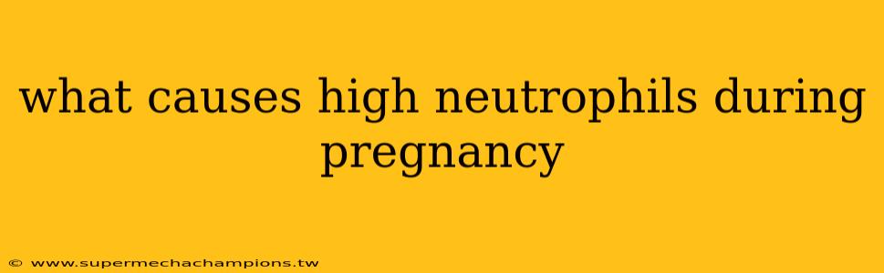 what causes high neutrophils during pregnancy