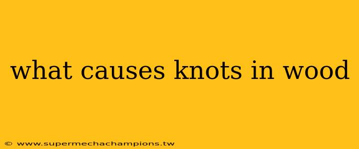 what causes knots in wood
