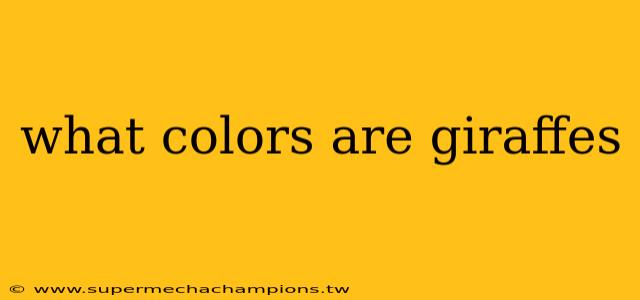 what colors are giraffes