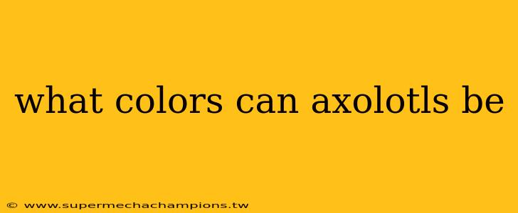 what colors can axolotls be