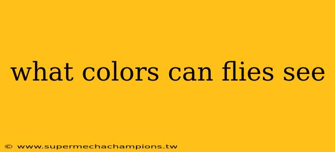 what colors can flies see