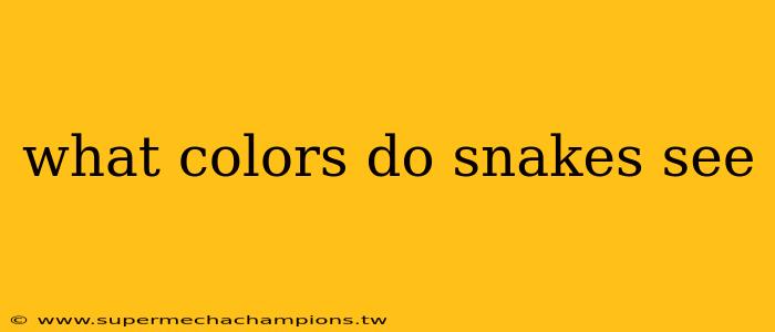 what colors do snakes see
