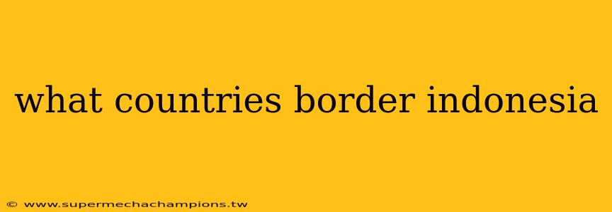 what countries border indonesia