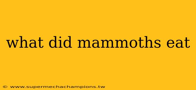 what did mammoths eat