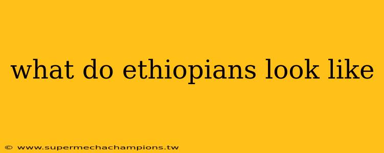 what do ethiopians look like