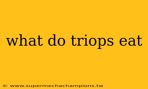 what do triops eat