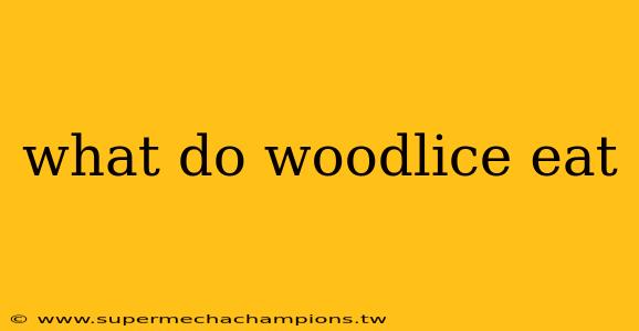 what do woodlice eat