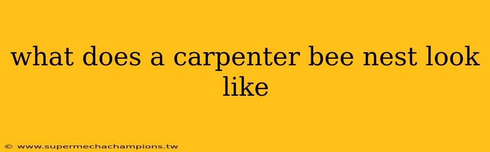 what does a carpenter bee nest look like
