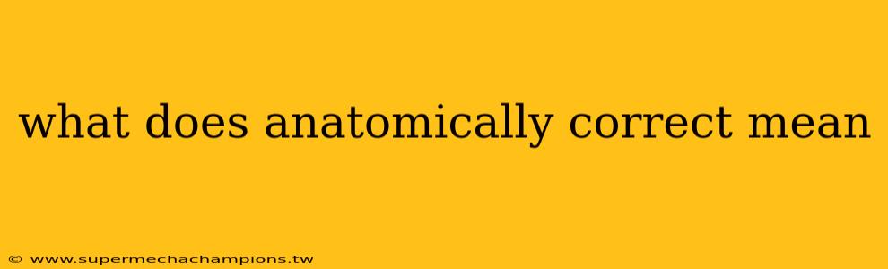 what does anatomically correct mean