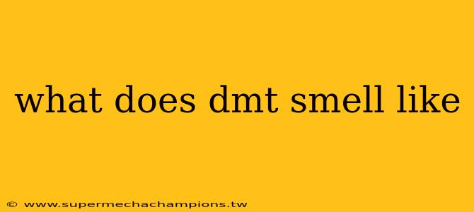 what does dmt smell like