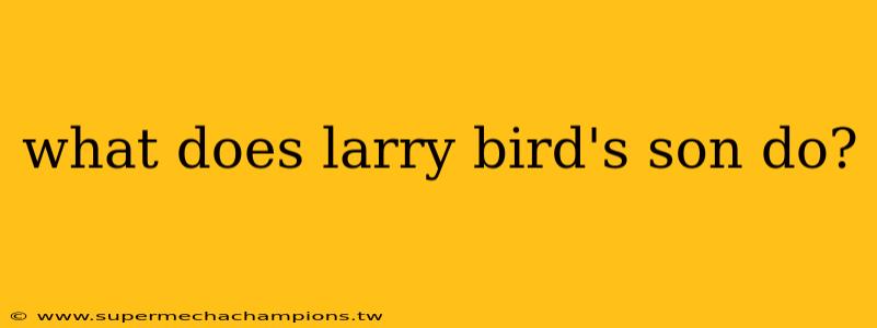 what does larry bird's son do?