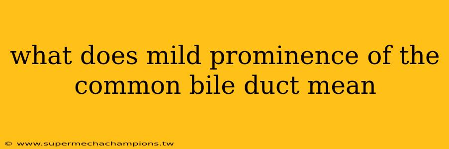 what does mild prominence of the common bile duct mean
