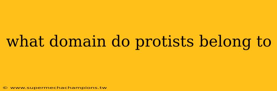 what domain do protists belong to