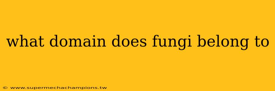 what domain does fungi belong to