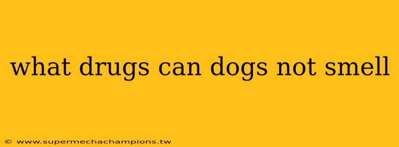 what drugs can dogs not smell