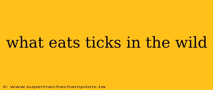 what eats ticks in the wild