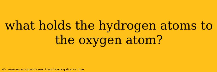 what holds the hydrogen atoms to the oxygen atom?