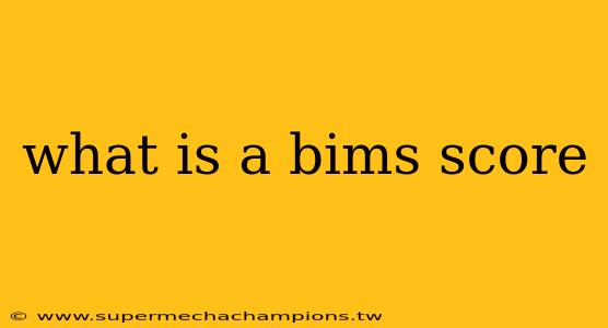 what is a bims score