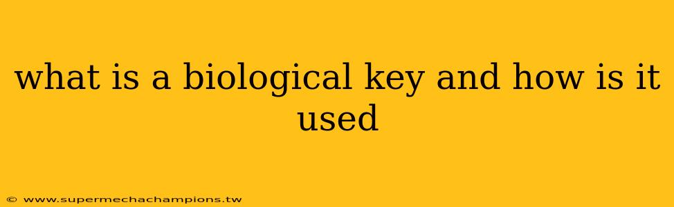 what is a biological key and how is it used