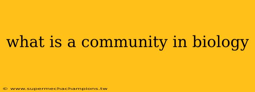 what is a community in biology