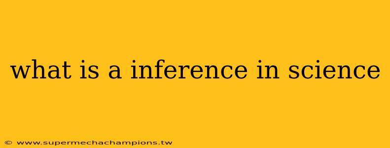 what is a inference in science