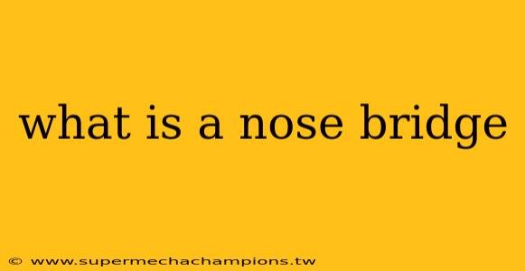 what is a nose bridge