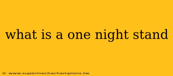 what is a one night stand