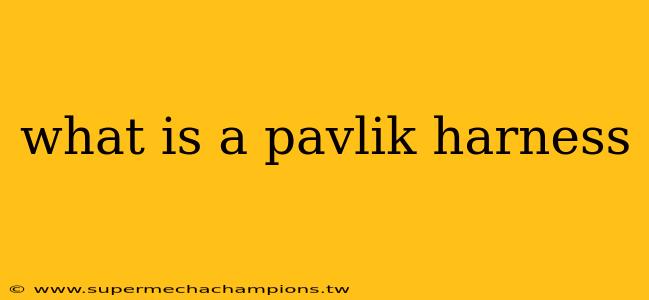 what is a pavlik harness