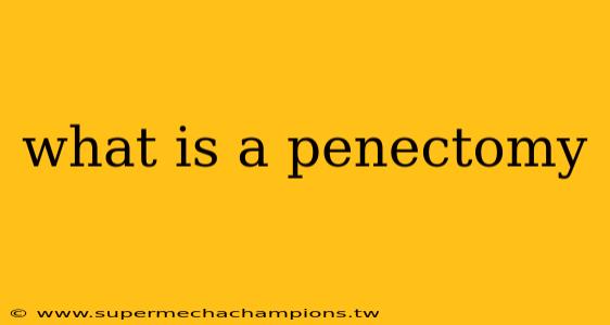 what is a penectomy