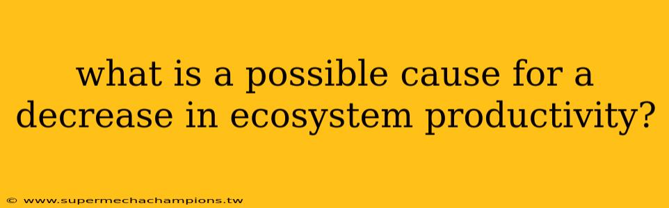 what is a possible cause for a decrease in ecosystem productivity?