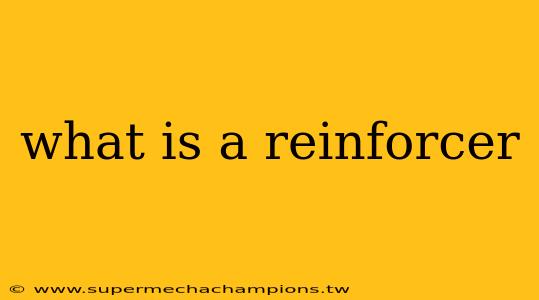 what is a reinforcer