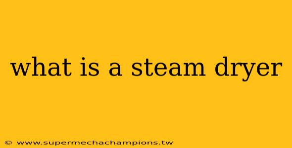 what is a steam dryer