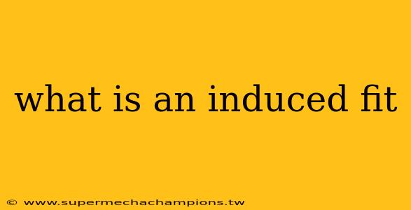 what is an induced fit