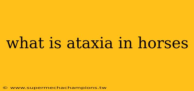 what is ataxia in horses