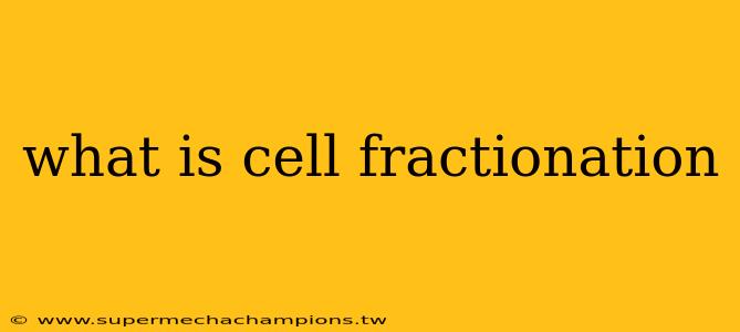 what is cell fractionation