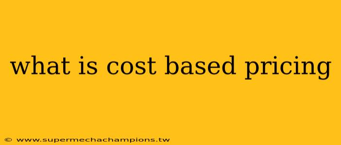 what is cost based pricing
