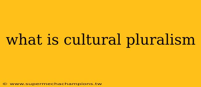 what is cultural pluralism