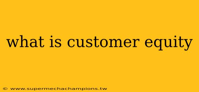 what is customer equity