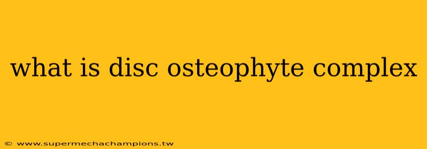 what is disc osteophyte complex
