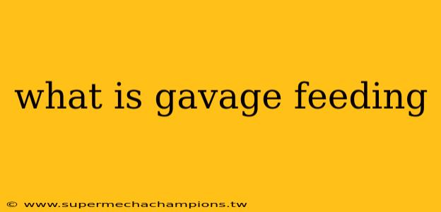 what is gavage feeding