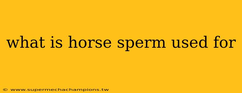 what is horse sperm used for