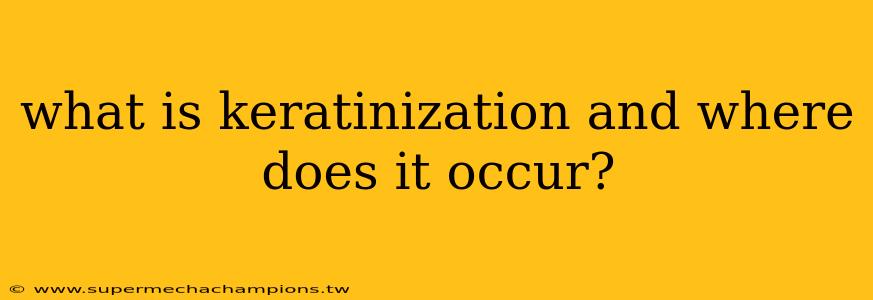 what is keratinization and where does it occur?