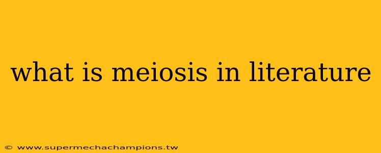 what is meiosis in literature