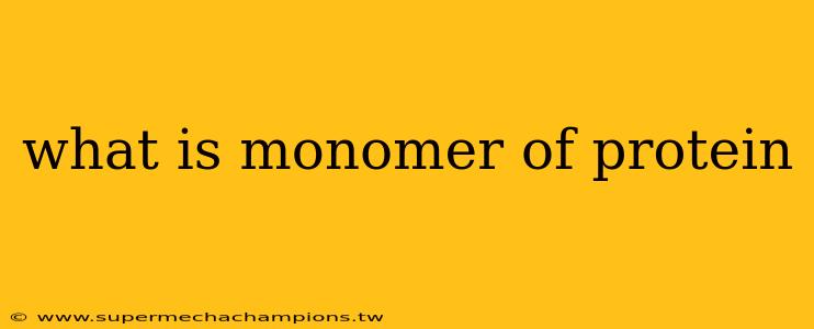 what is monomer of protein