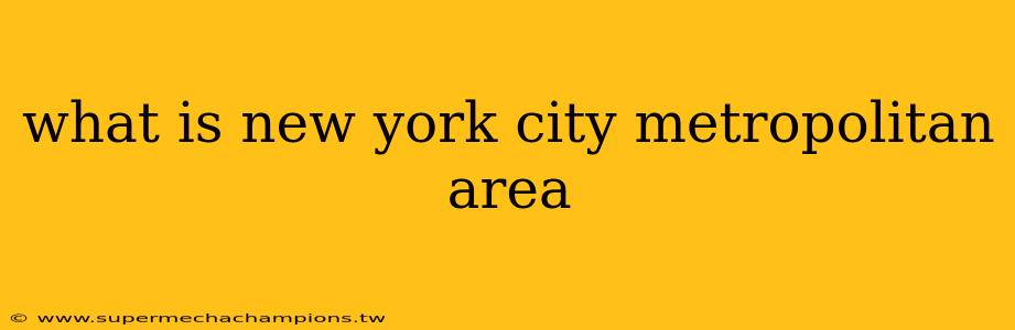 what is new york city metropolitan area